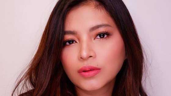 Angel Locsin, nagpasalamat sa mabilis na pag-apruba ni Duterte sa ayuda