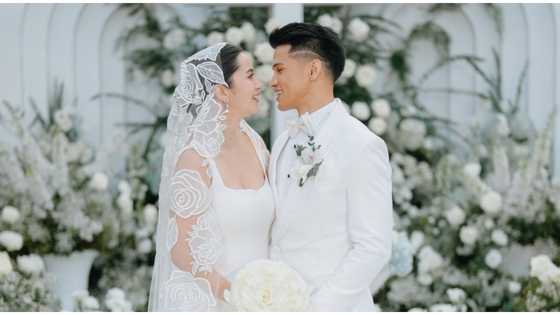 Vin Abrenica pens heartfelt anniversary message to Sophie Albert: “I hope this is enough”
