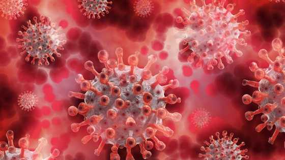 South African coronavirus variant can bind easily to human cells - report