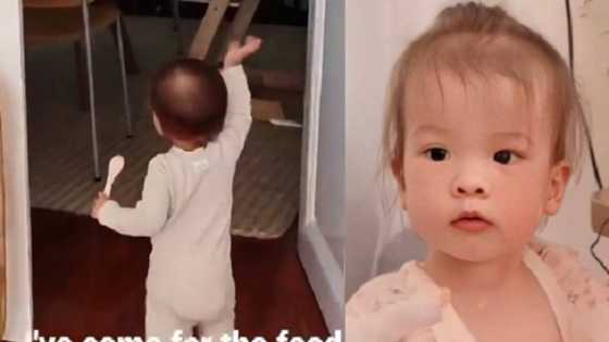 Video of baby Dahlia rushing to their dining area goes viral