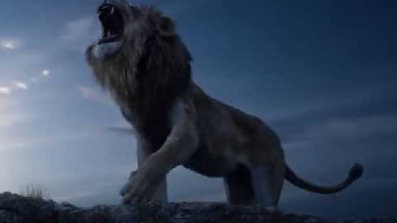 Netizens go crazy over ‘epic’ trailer of new live-action version of The Lion King