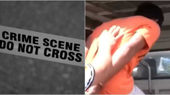 Sleeping man dies after being stabbed by his own nephew