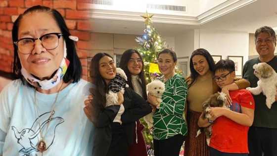 Lolit Solis on Sharon Cuneta's new home: "Para daw mall o hotel"