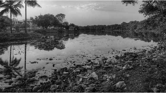 Little cousins ages 3 and 4 die after drowning in lake