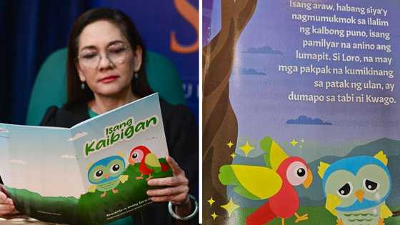 Risa Hontiveros, may tatlong salitang binigkas pagkatapos i-scan ang libro ni Sara Duterte