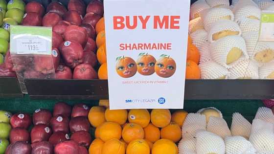 SM Legazpi, nakisakay sa viral na “Sharmaine” at may dagdag pang pasabog