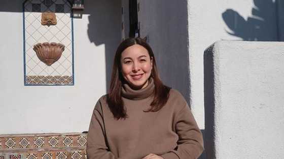 Interesting facts about Marjorie Barretto husband and her children