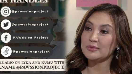 Sharon Cuneta slams scammers using PAWSsion Project's name