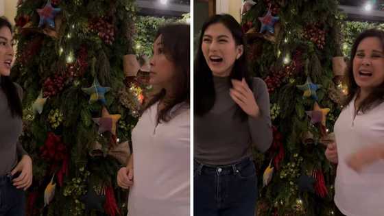 Loren Legarda, pabirong nainis sa joke ni Alex Gonzaga ukol sa Christmas tree