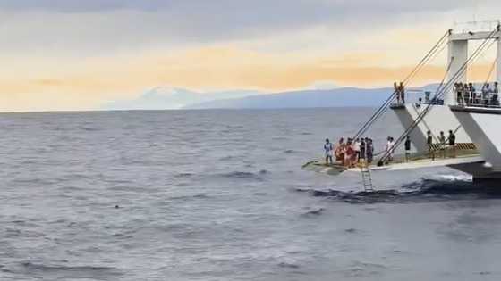 Lalaki na tumalon mula barko papuntang Bohol, nailigtas matapos tanggihan ang life ring