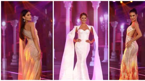 Miss Universe Philippines posts stunning photos of Top 10 finalists