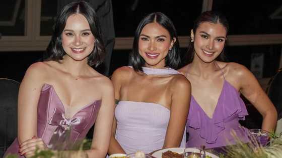 Bea Gomez at iba pang beauty queens, biglang nawala ang kanilang social media accounts