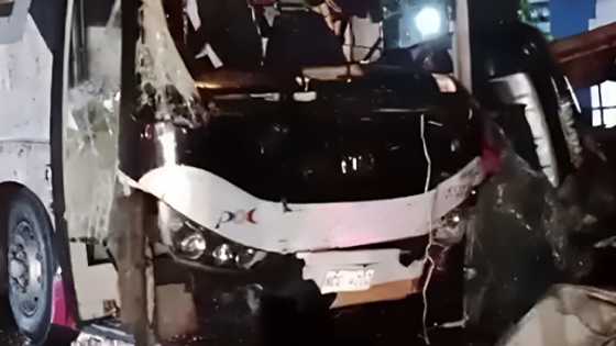 Tragedy on the Maharlika Highway: SUV vs bus collision claims the lives of three