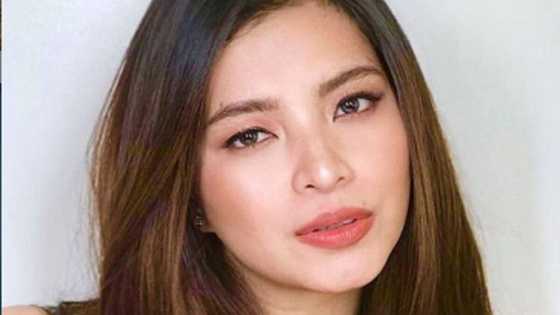 Angel Locsin praises Baguio City Mayor Magalong amid Tim Yap’s party controversy