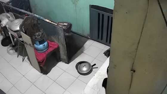 CCTV footage exposes security camera installer as suspect in Manila LPG tank theft