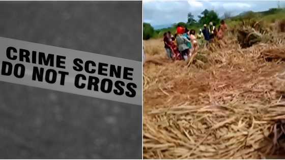 5-taon na batang babae na nawawala, patay na ng matagpuan sa tubuhan sa likod ng isang mall