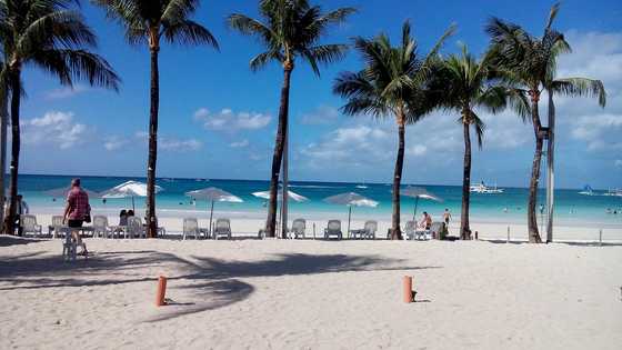 Court issues arrest warrant for two suspects in slay of Slovak tourist in Boracay