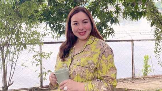 Marjorie Barretto explains why she will vote for Leni Robredo: “makakaahon tayo”