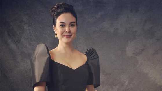 Gretchen Barretto bio: Unravel details and fun facts about La Greta