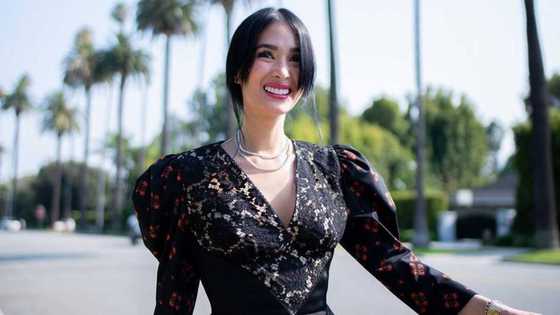 Heart Evangelista, nag-react sa comment ng makeup artist na si Albert Kurniawan