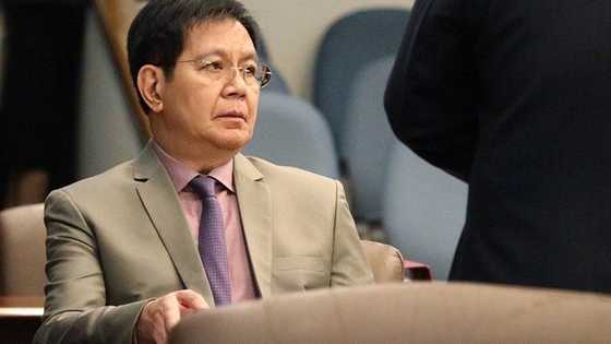 Sen. Ping Lacson posts cryptic tweet about “crazy cat” and “annoying dog”