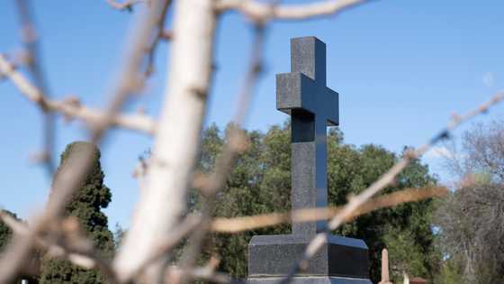 I bought the burial plot next to my late husband – The face on the new headstone beside made me gasp