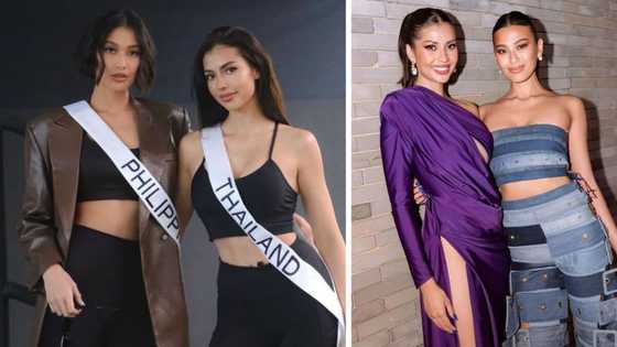 Michelle Dee and Anntonia Porsild’s shared magazine cover delights “PorDee” fans