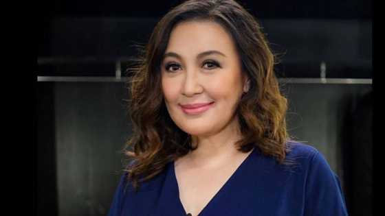 Sharon Cuneta yearns for the two babies she miscarried before