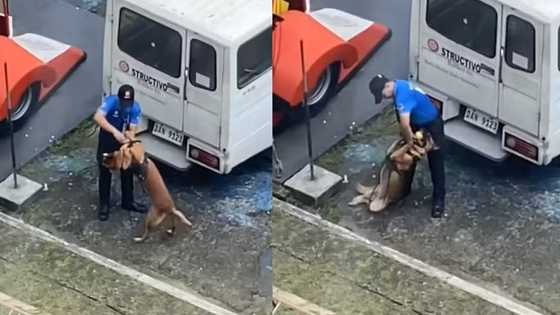 Viral na video ng K9 handler, umani ng aksyon mula sa Meralco