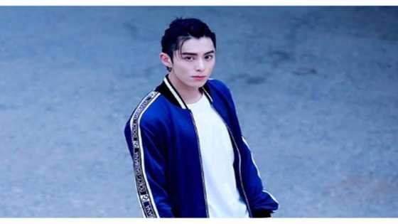 5 Things you should know about Meteor Garden's Dao Ming Si actor Dylan Wang