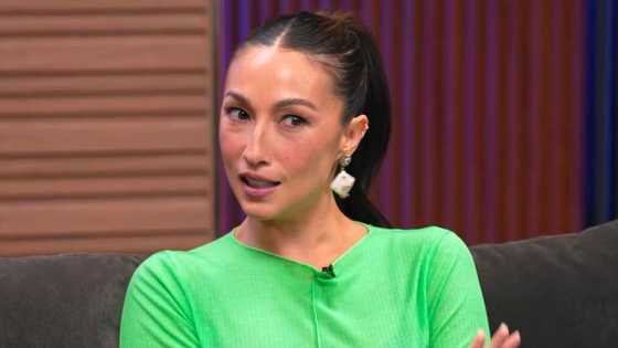 Solenn Heussaff, inalala ang pag-uusap nila ni Luis Manzano tungkol kay Vilma Santos