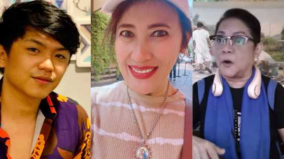 Cristy Fermin, dinepensahan sina Ai-Ai delas Alas, Darryl Yap na idineklarang persona non grata sa QC