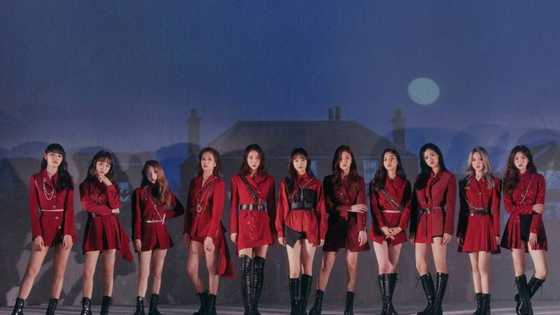 Loona profile: members, albums, Instagram, and fun facts