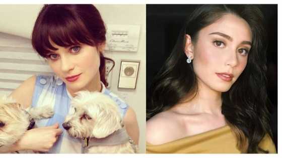 8 Gorgeous Pinay celebrities na may kamukha na sikat na Hollywood stars