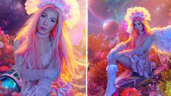 Vice Ganda stuns in birthday photoshoot: "#48AndLeftNoCrumbs"