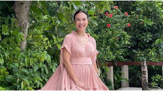 DOJ issues subpoenas vs Atong Ang, Gretchen Barretto & others