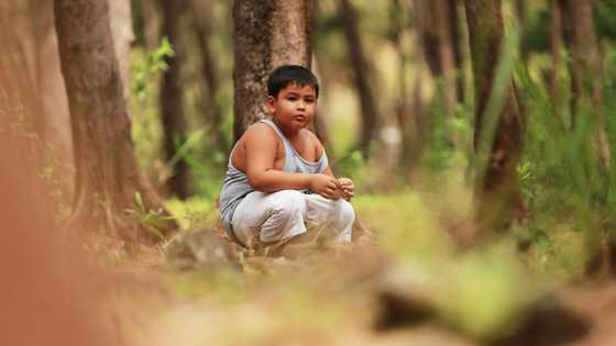 My son got lost in the forest — When I found him, he said, “Dad, there’s a child crying”