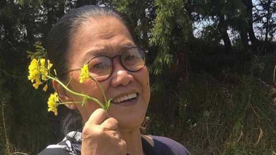 Lolit Solis, ibinahagi sa isang post na may aktor umanong nanalo ng 23M sa casino: “Casino king siya talaga”