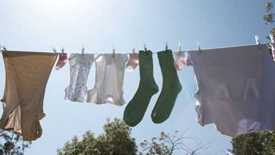 Filipino student creates weather app to help solve grandma’s laundry dilemma