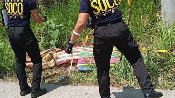 Anti-Kidnapping Group Chief Gen. Ragay sibak sa puwesto dahil sa ...