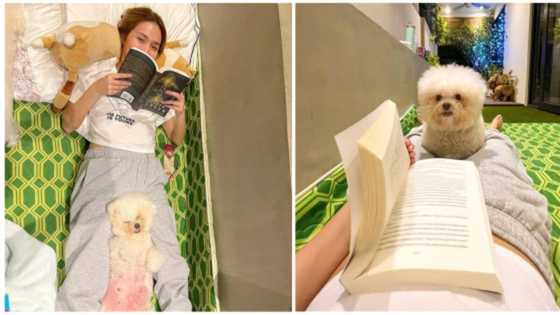 Kathryn Bernardo posts adorable photos with one of her fur babies