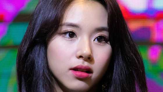 Chaeyoung of TWICE rumored to be dating tattoo artist Chimhwasa