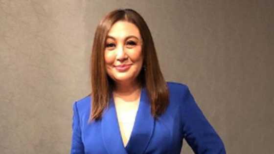 Robin Padilla pens emotional message for Sharon Cuneta amid her issue with KC