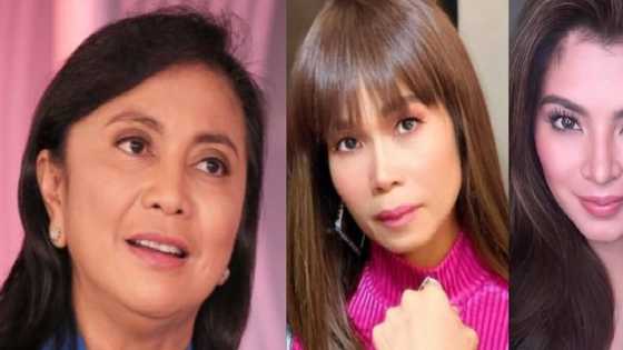 Leni Robredo receives support from celebs after announcing presidential bid