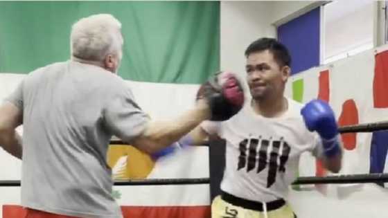 Pacquiao’s 1st day of training with Freddie Roach for Spence fight goes viral