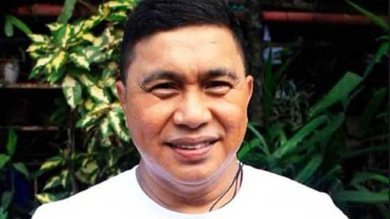 Court of Appeals clears Jose Manalo's involvement in wife's P50-M civil case