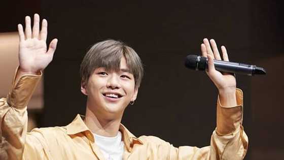 Interesting facts about Kang Daniel: His age, family, net worth and girlfriend