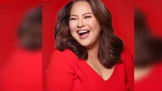 Karla Estrada opens up about struggles raising four kids alone