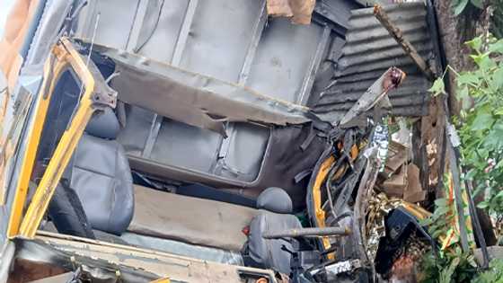 Fatal crash in Quezon: Delivery van hits tree, Kills driver and helper