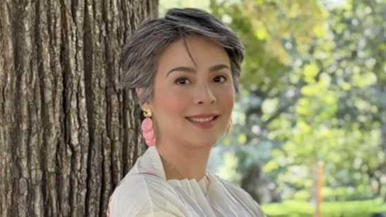 Netizens gush over Dawn Zulueta's timeless beauty in viral video montage